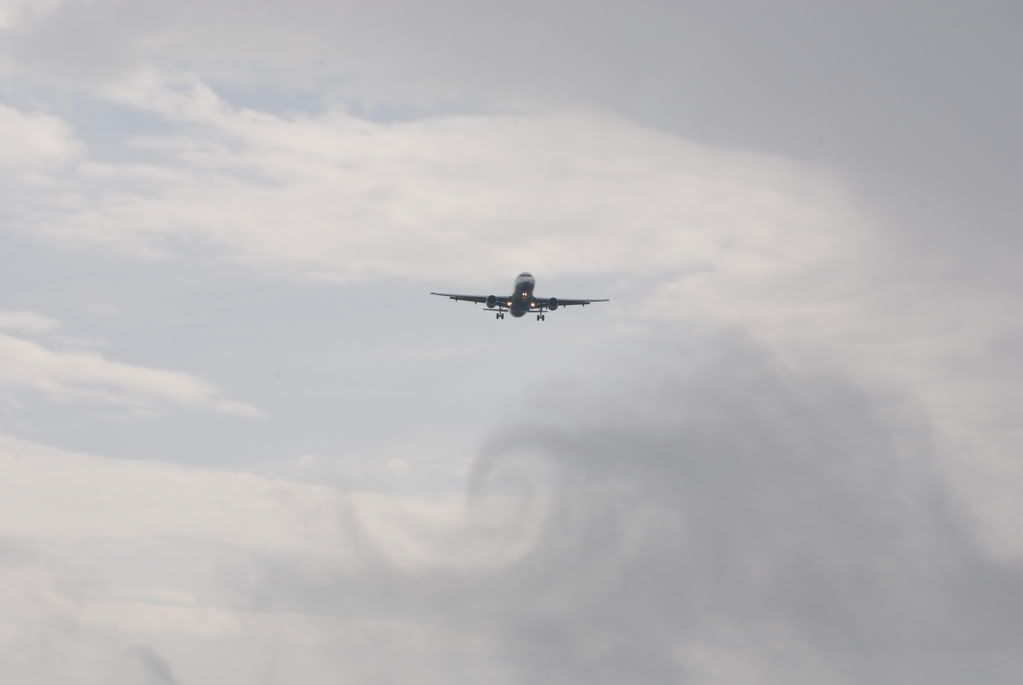 DSC_0450.jpg
