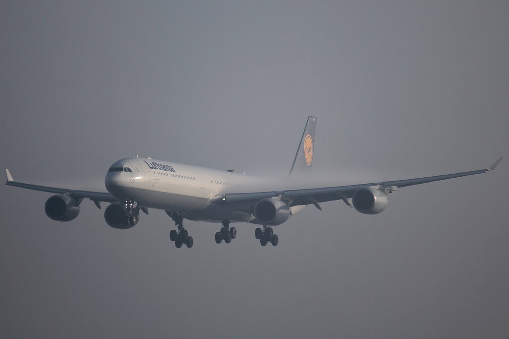 51404036sf.jpg