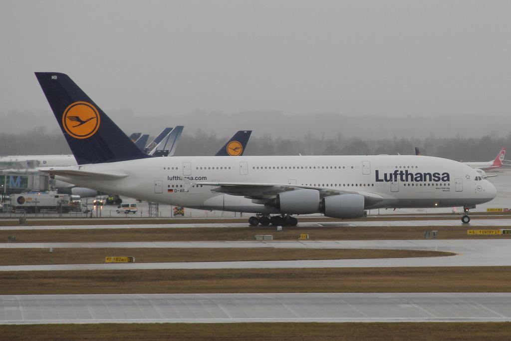 8931243zjm.jpg