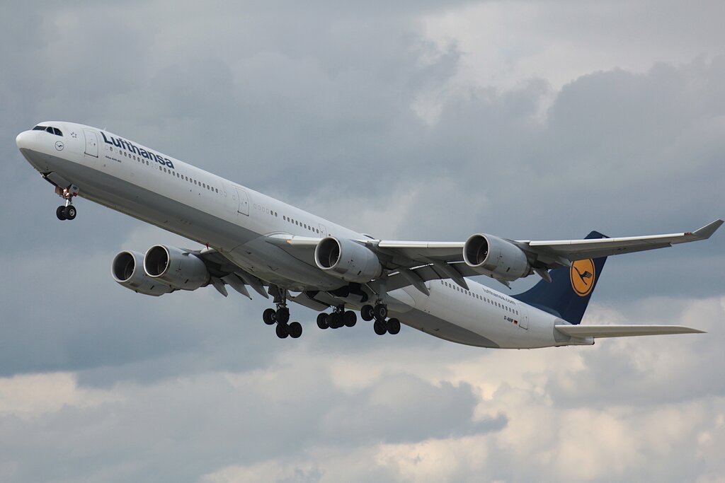 51404384zf.jpg