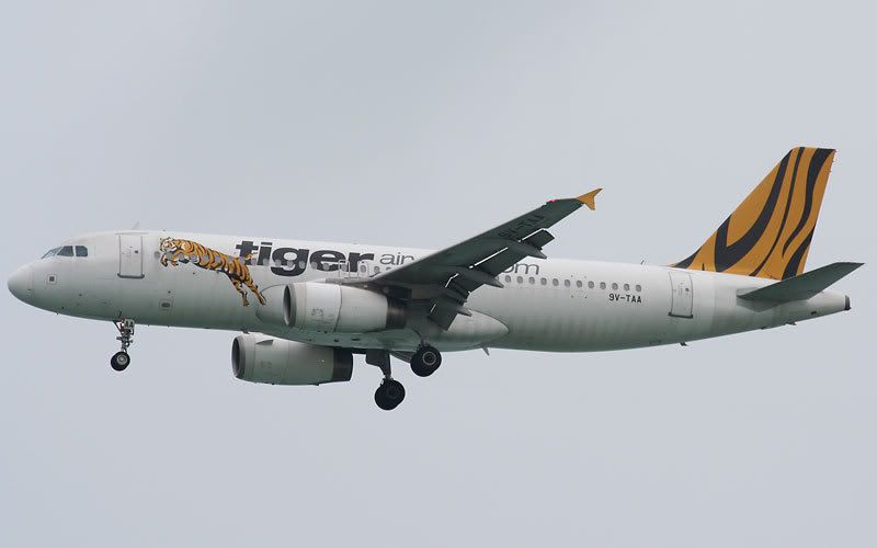 tiger_320.jpg