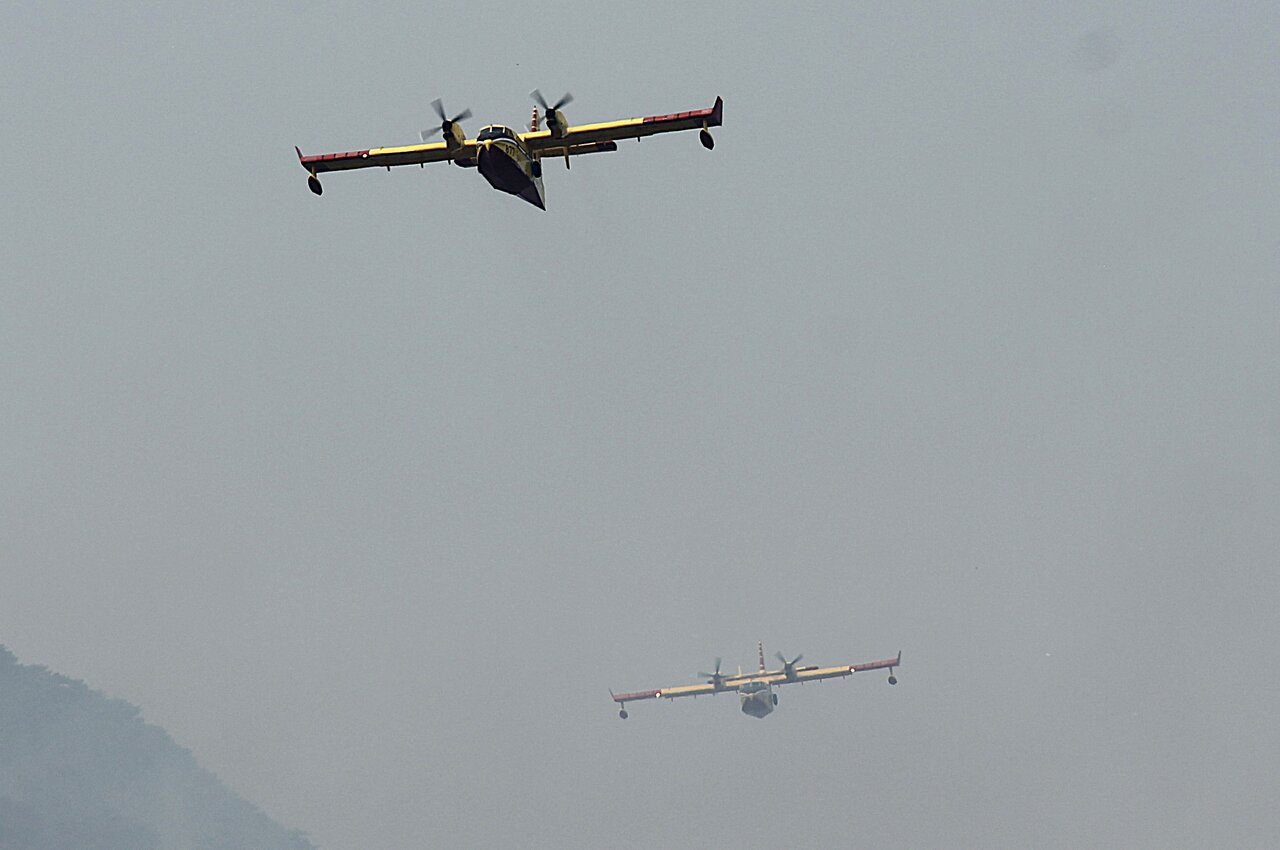 51221026yv.jpg