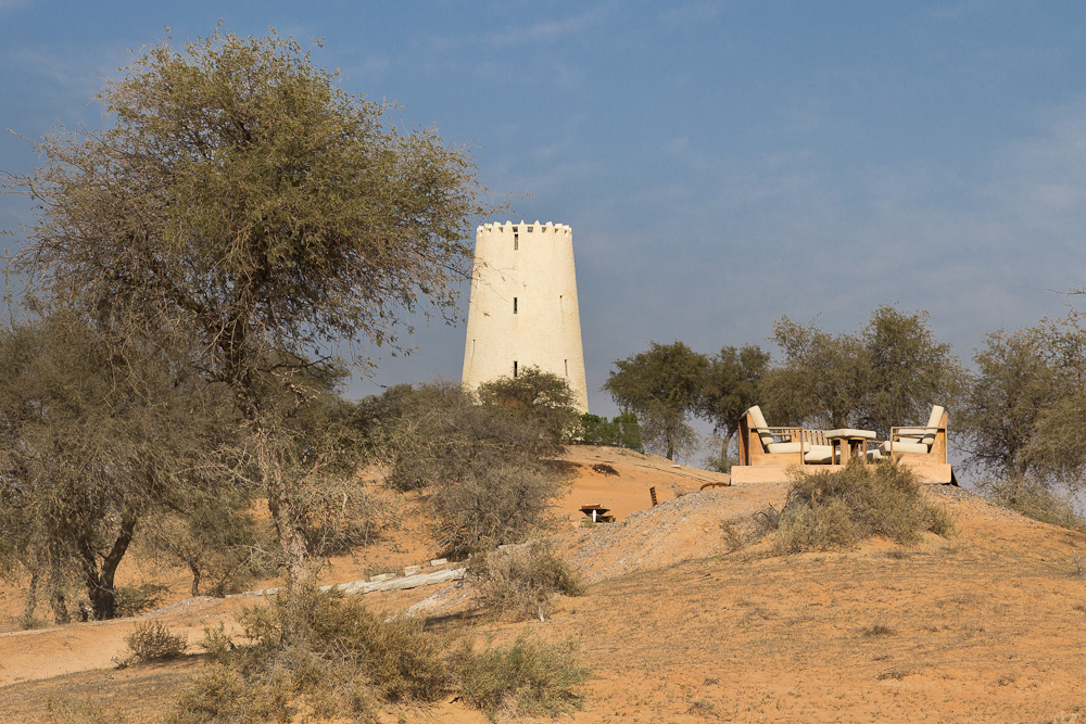 Ras_Al_Khaimah_Wüste_Falken_11.jpg