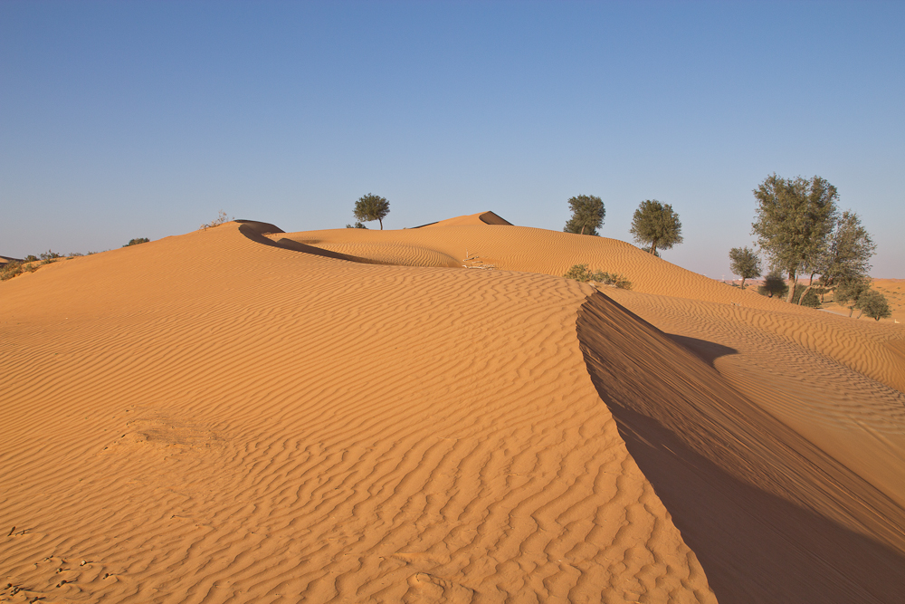Ras_Al_Khaimah_Wüste_34.jpg
