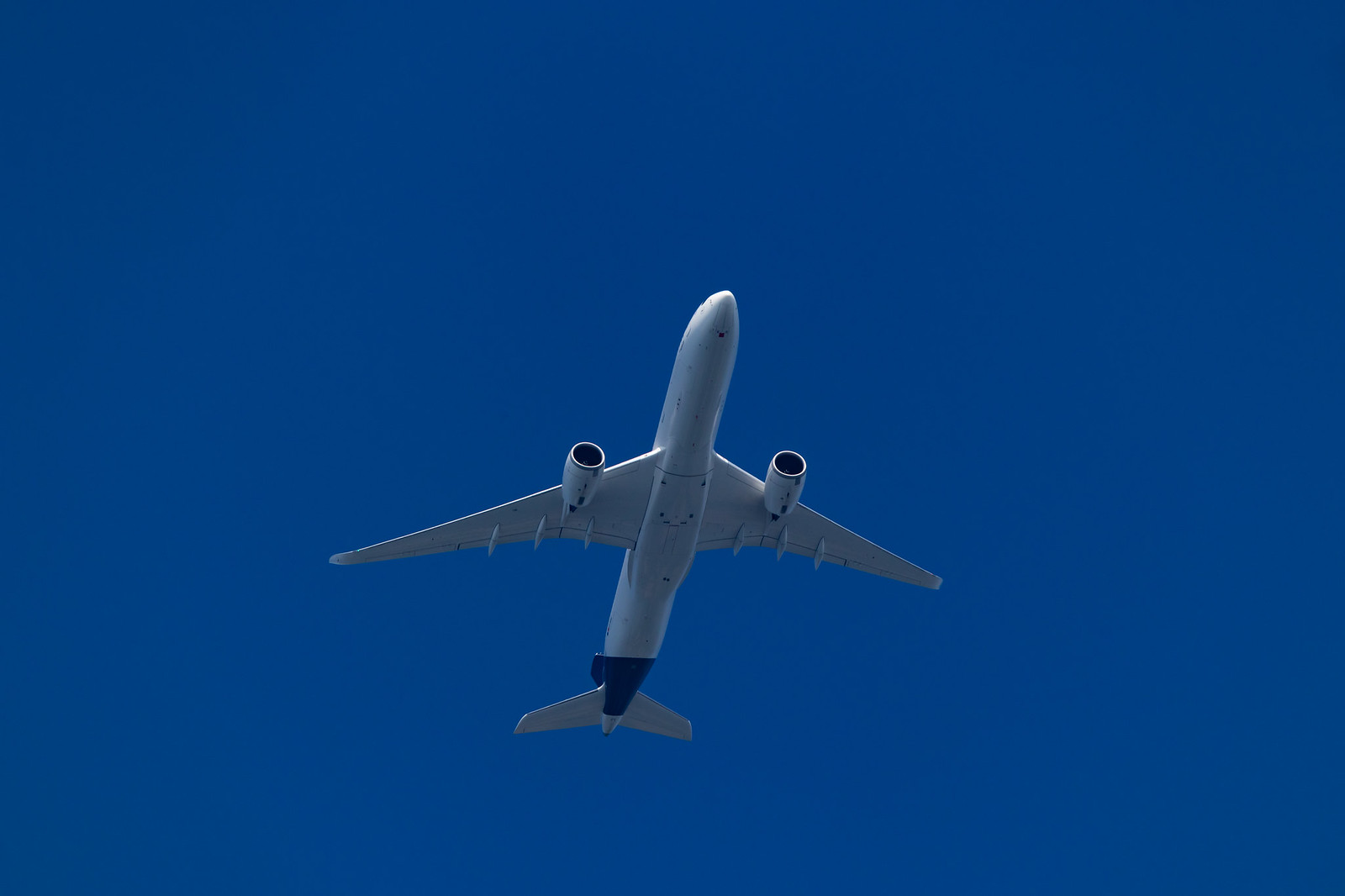 51240398798_5d32ee4a2e_h.jpg