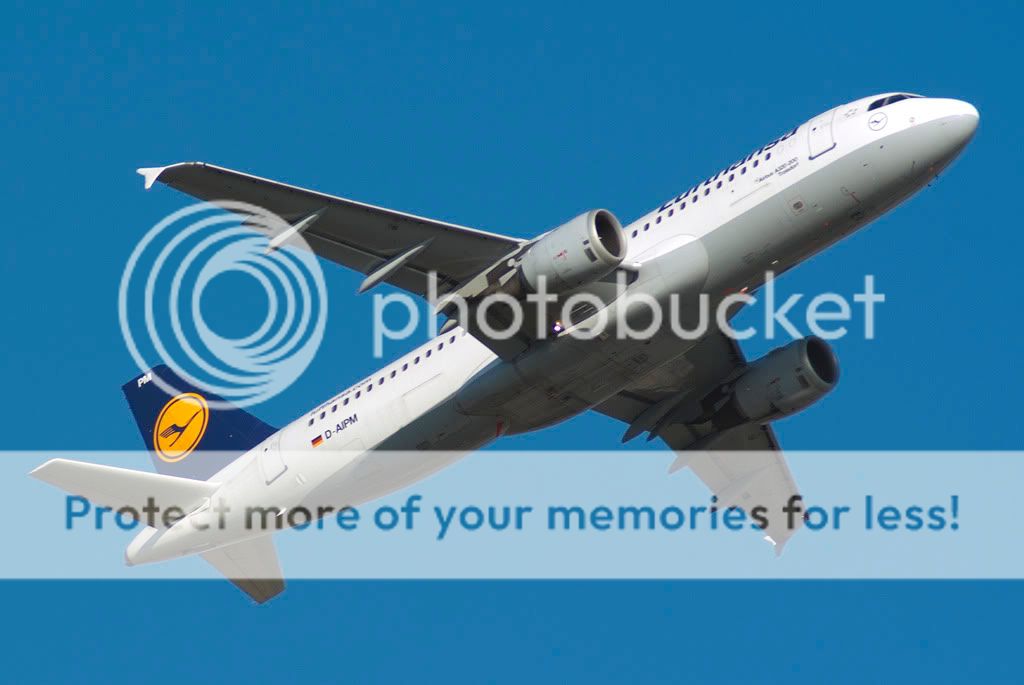 D-AIPM.jpg