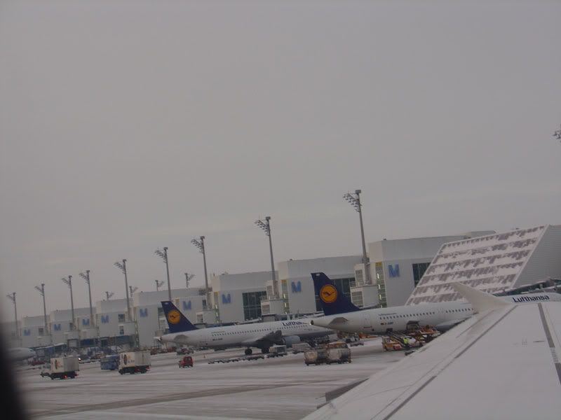 muc12.jpg