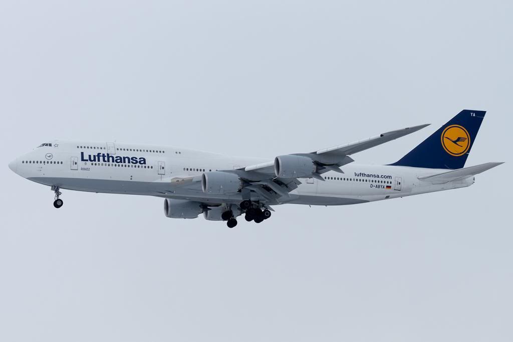 D-ABYA.jpg