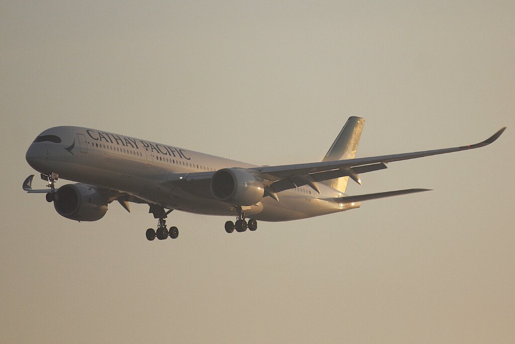 51352089ku.jpg