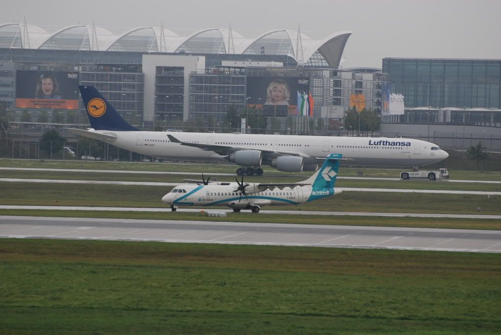 DSC_0424.jpg