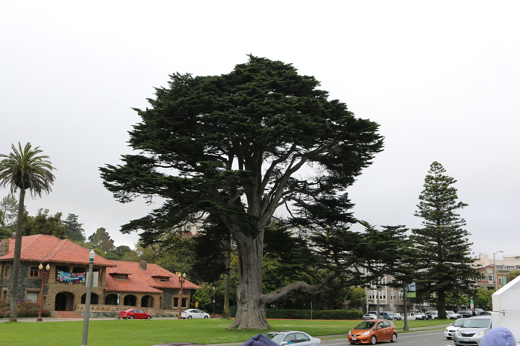 15178598093_408c307e44_b.jpg