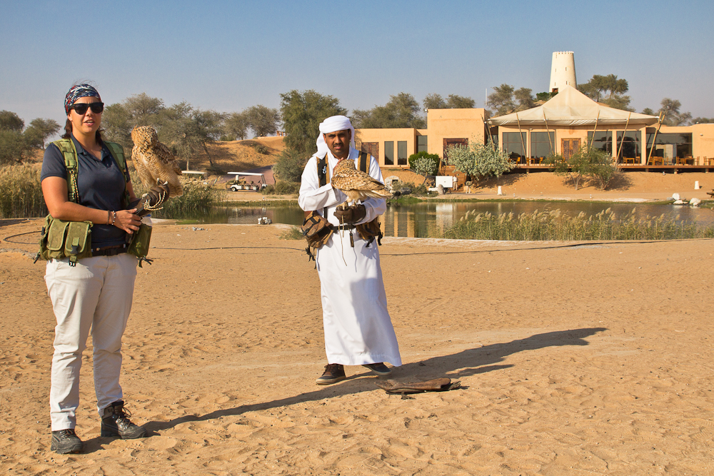 Ras_Al_Khaimah_Wüste_Falken_16.jpg